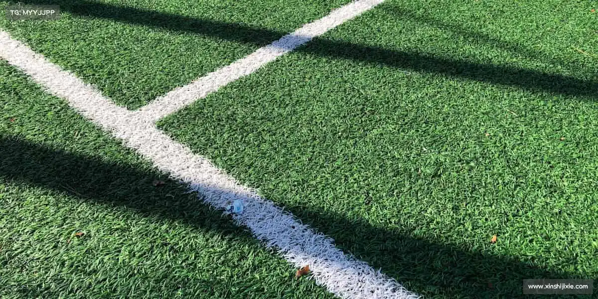 我们的品牌价值